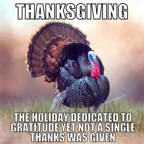 funny thanksgiving memes 2021|funny thanksgiving memes.